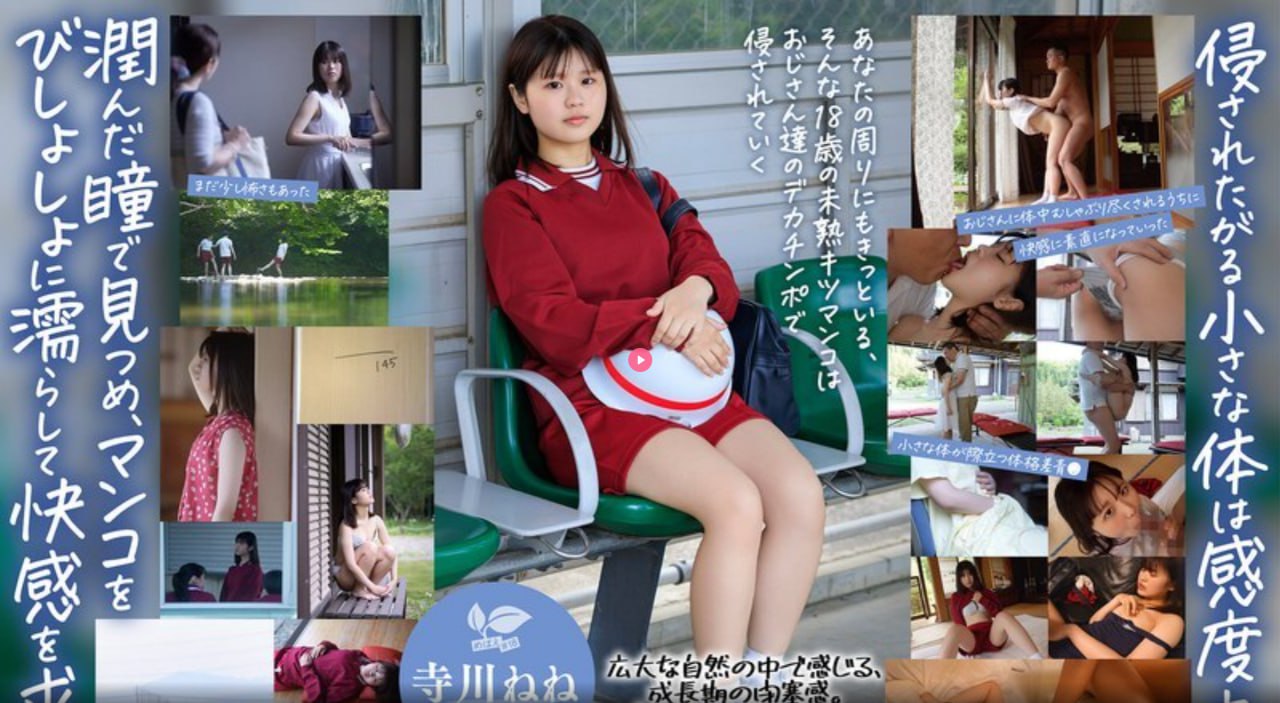 ...免费免费99久久国产综合全集免费播放...,强奷漂亮少妇高潮A片...高清在线观看